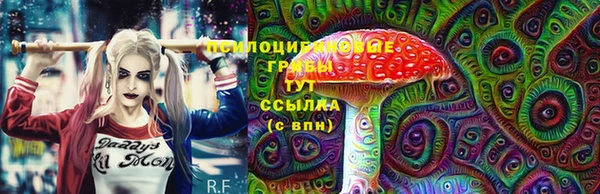 mix Белокуриха