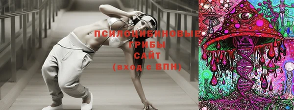 mix Белокуриха