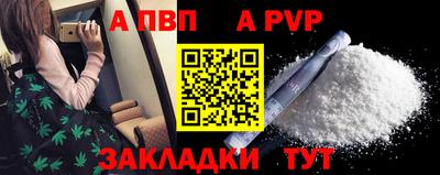 шишки Кингисепп