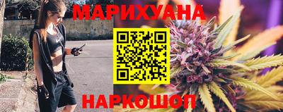 шишки Кингисепп