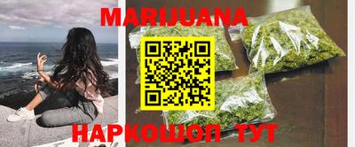 шишки Кингисепп