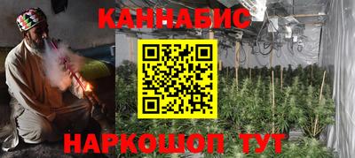 шишки Кингисепп