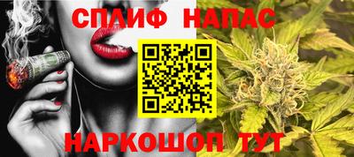 гидра Кимры