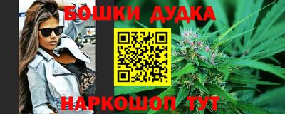 шишки Кингисепп