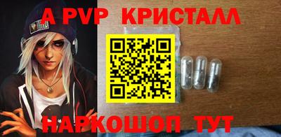 шишки Кингисепп