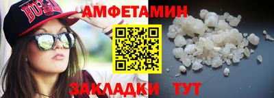 шишки Кингисепп