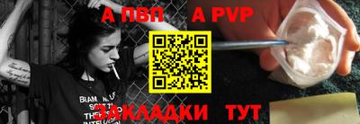 шишки Кингисепп