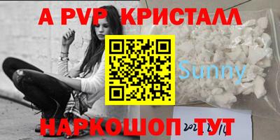 шишки Кингисепп