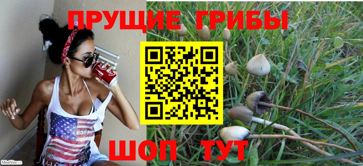 Галлюциногенные грибы MAGIC MUSHROOMS  Вход с VPN  Валуйки  Псилоцибиновые грибы Psilocybine cubensis 